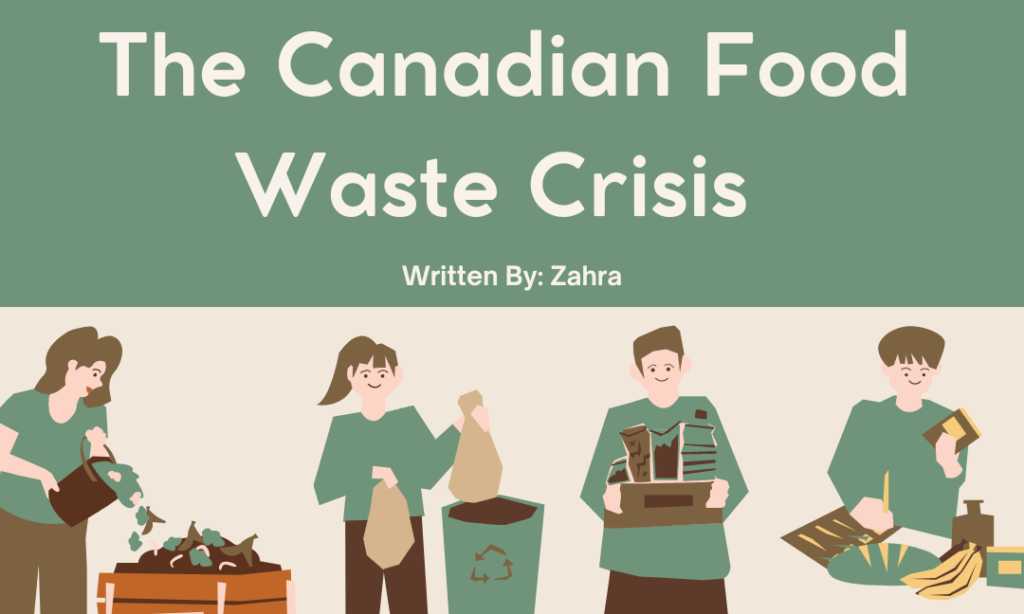 The Canadian Food Waste Crisis