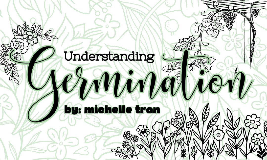 Understanding Germination