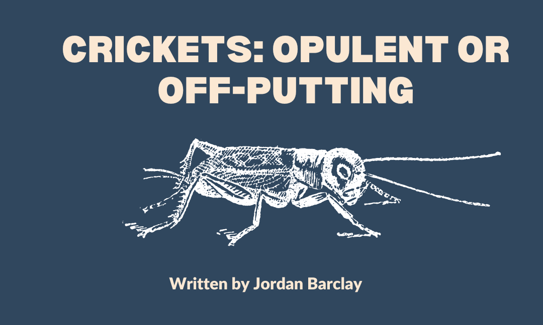 Crickets: Opulent or Off-Putting?