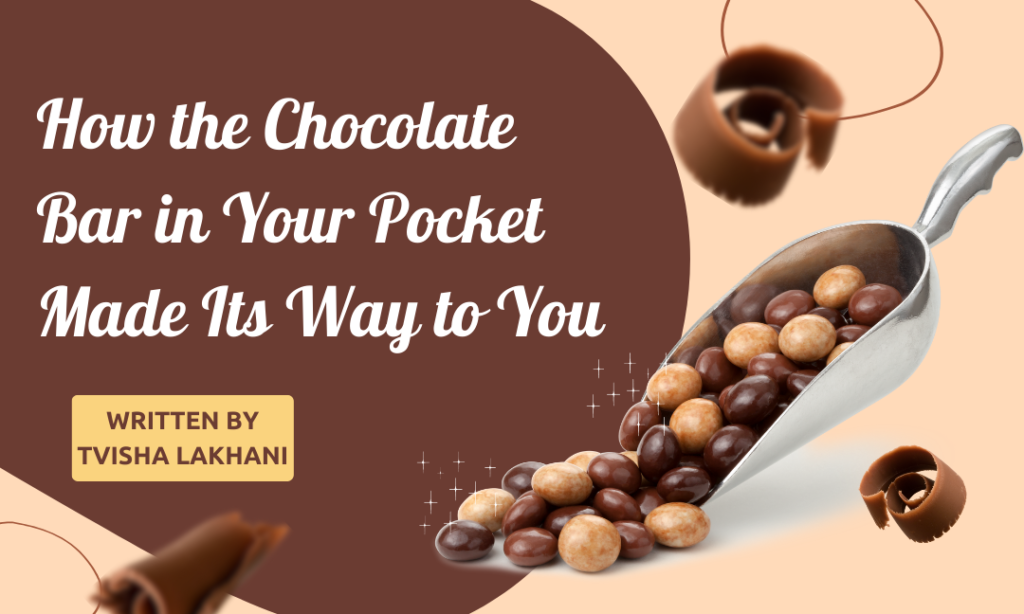 How the Chocolate Bar In Your Pocket Made Its Way to You