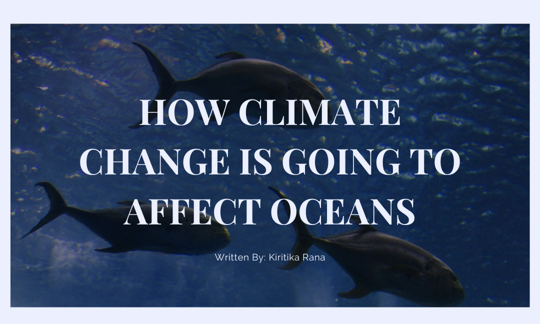 How is Climate Change Going to Affect Oceans