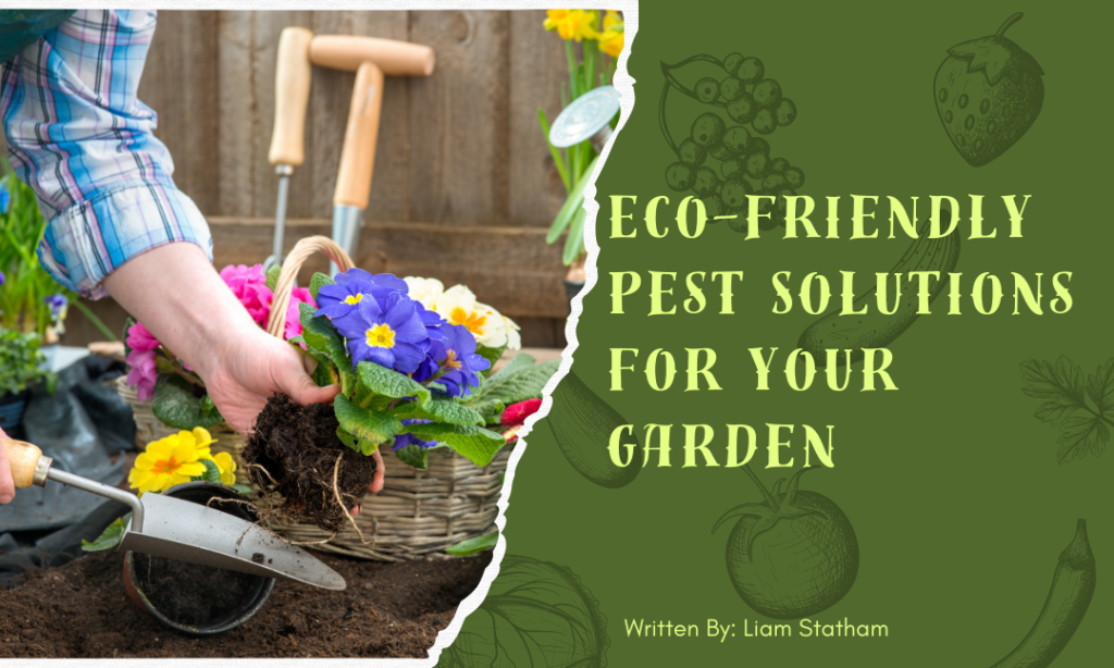 Eco-friendly Pest Solutions  For Your Garden
