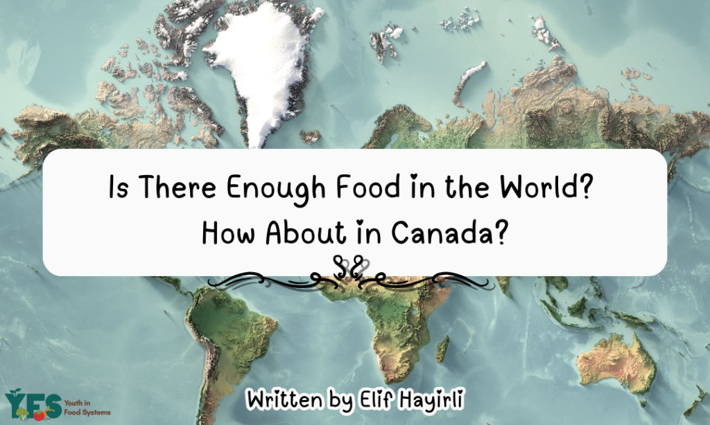 Is There Enough Food in the World? How About in Canada?