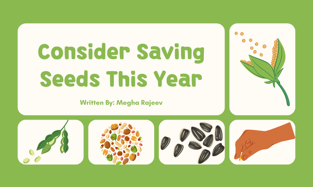 Consider Saving Seeds This Year