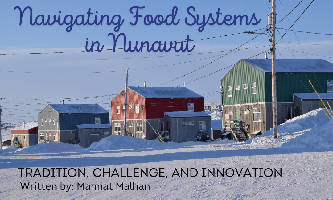 Navigating Food Systems in Nunavut: Tradition, Challenge, and Innovation