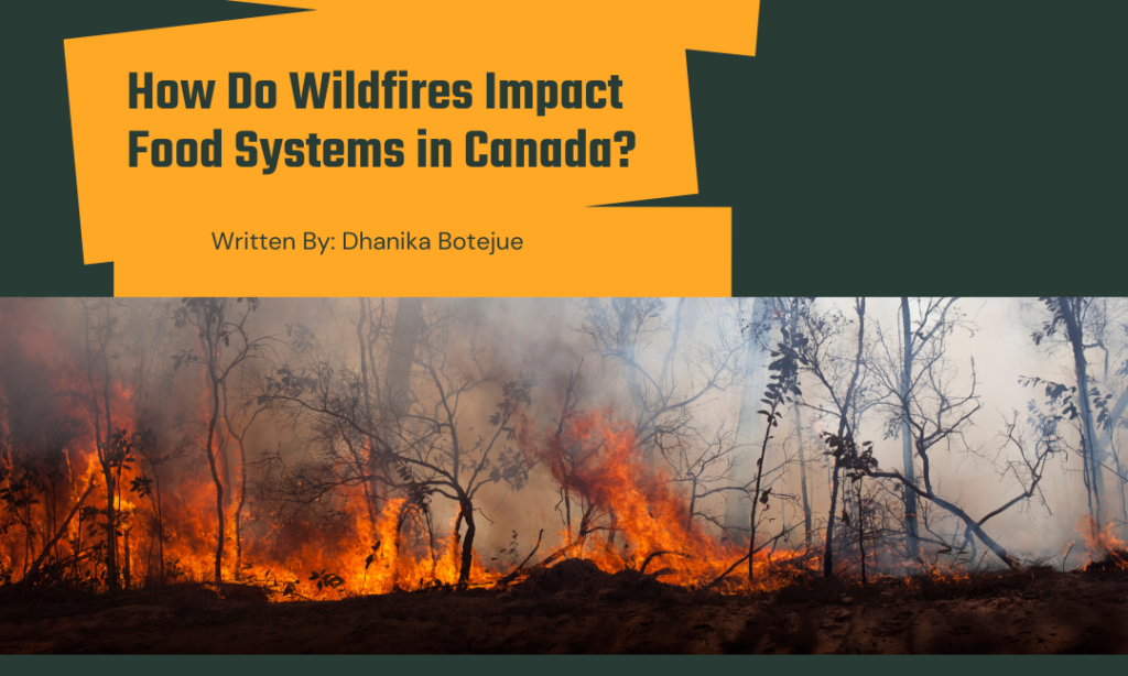 How Do Wildfires Impact Food Systems in Canada?