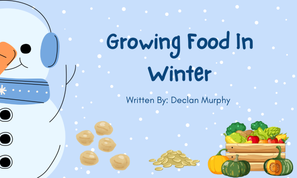 Growing Food In Winter