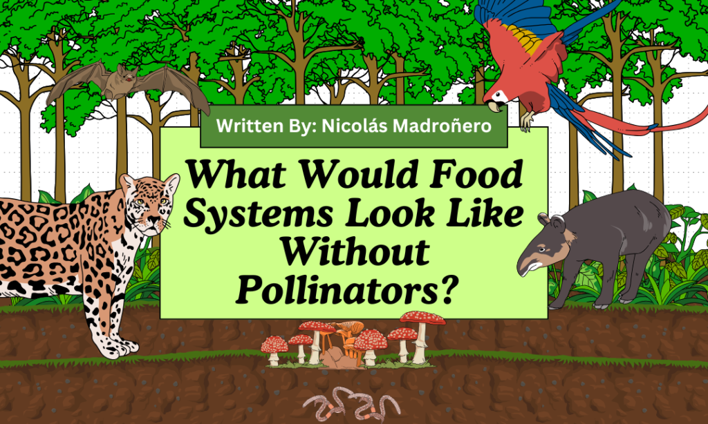 What Would Food Systems Look Like Without Pollinators?