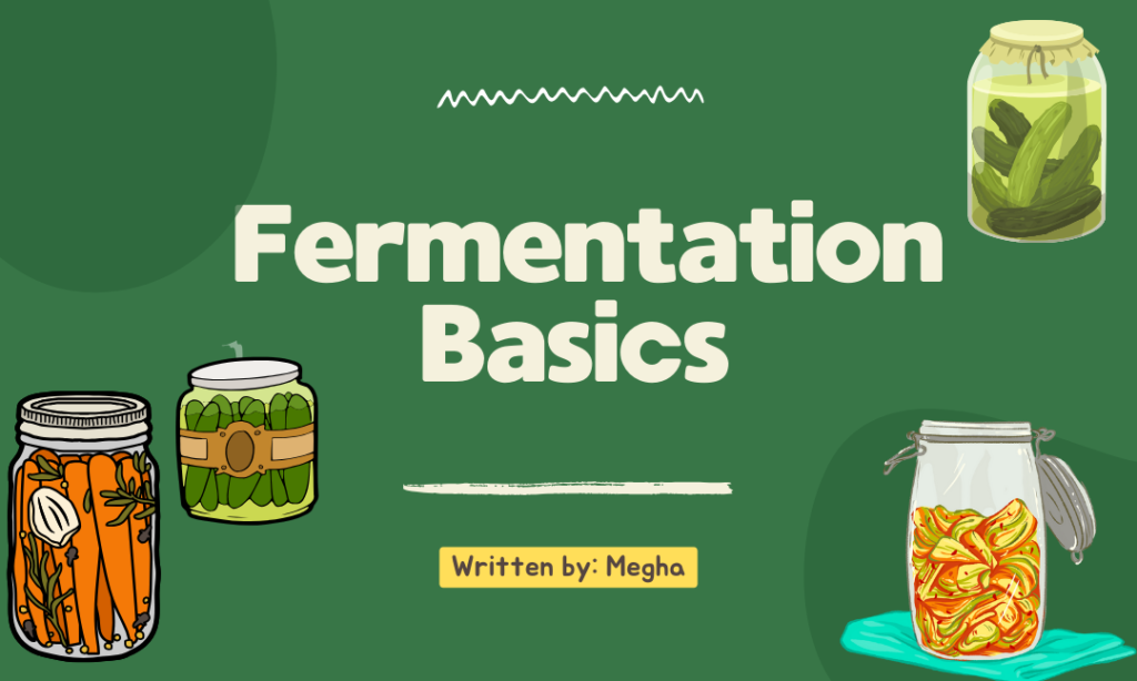 Fermentation Basics