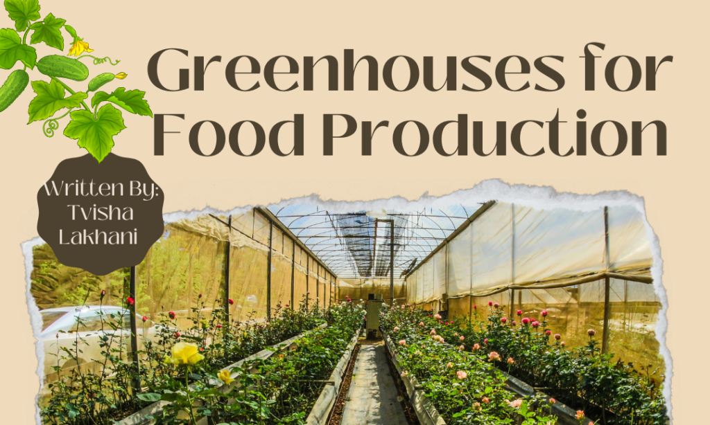 Greenhouses for Food Production