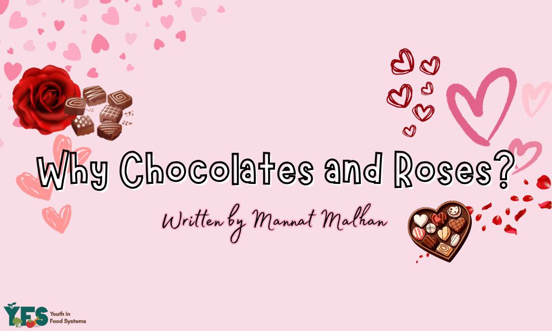 Why Chocolates and Roses? A Valentine’s Tradition Explored