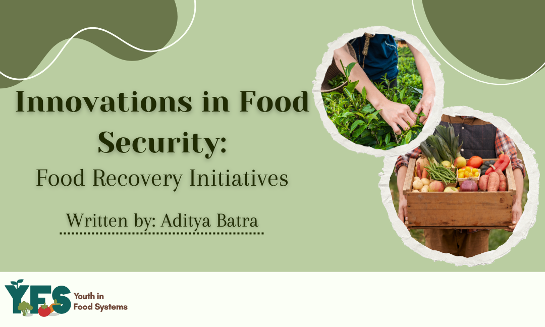 Innovations in Food Security: Food Recovery Initiatives