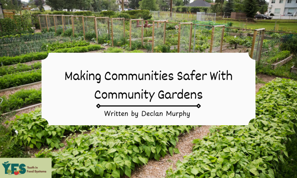 Making Communities Safer with Community Gardens