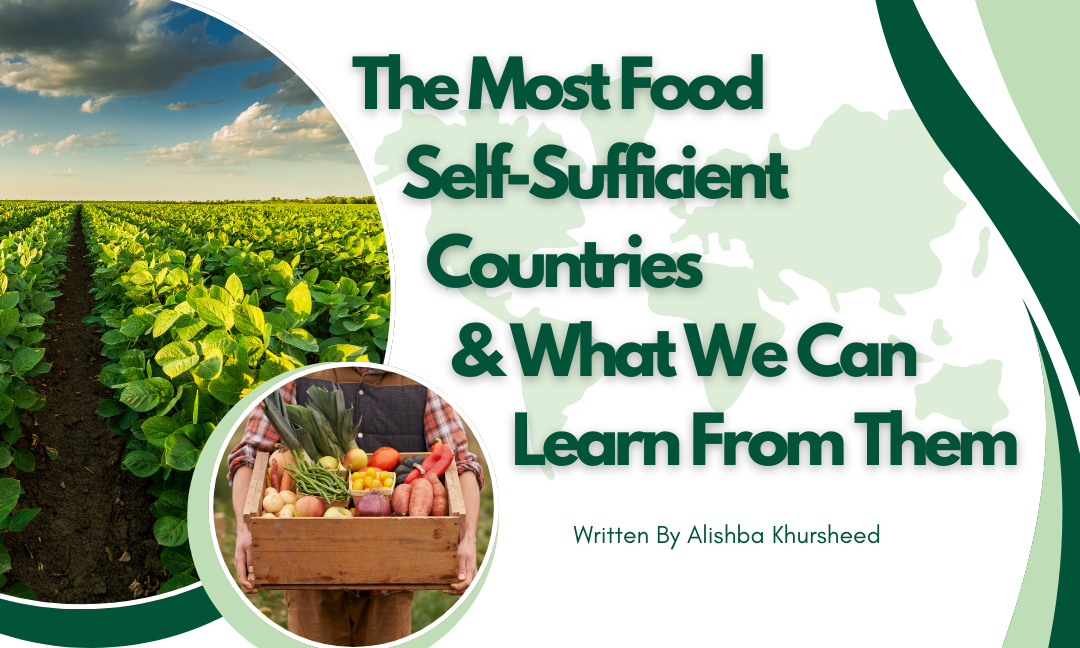 The Most Food Self-Sufficient Countries & What We Can Learn From Them