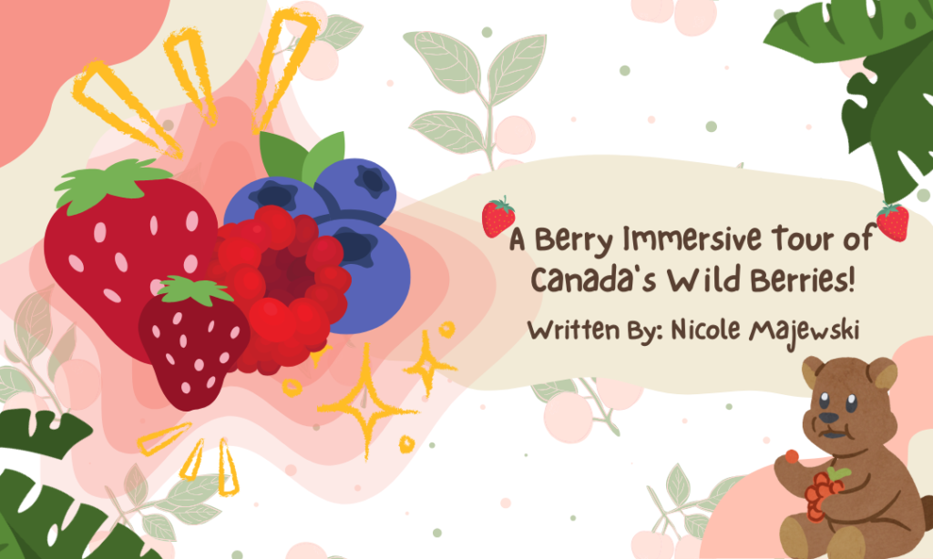 A Berry Immersive Tour of Canada’s Wild Berries