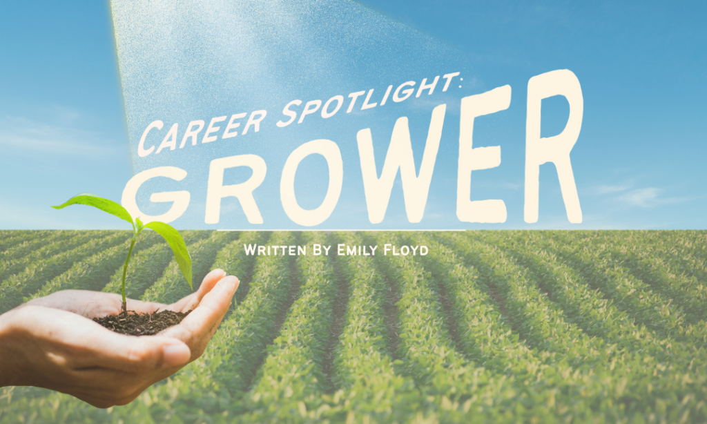 Career Spotlight: Grower