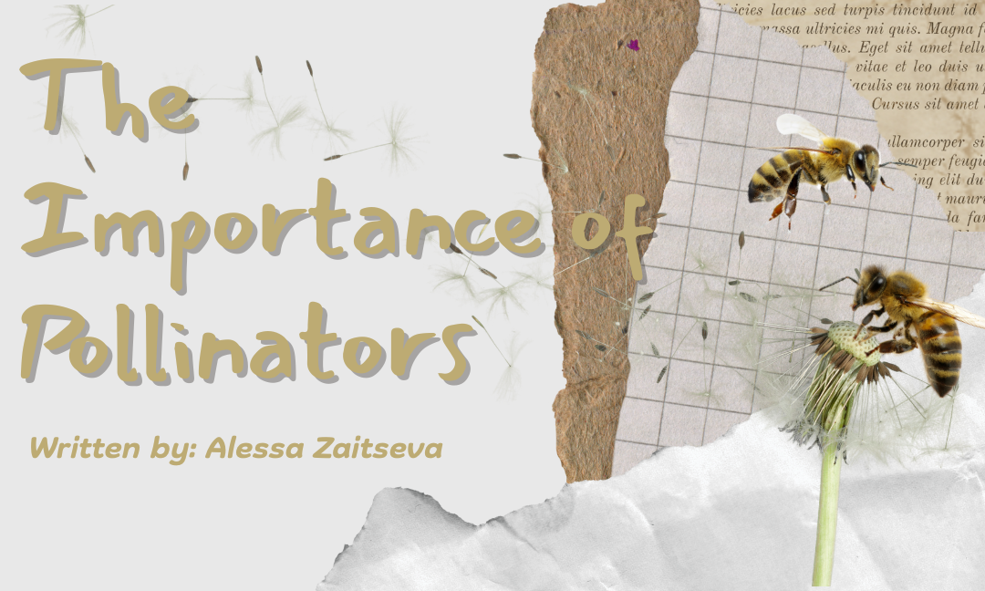 The Importance of Pollinators
