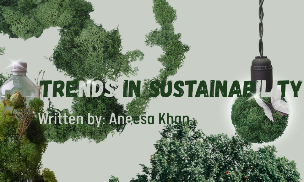 Infographics Corner | 2025 Trends in Sustainability: What Government Systems around the world are doing to target sustainability