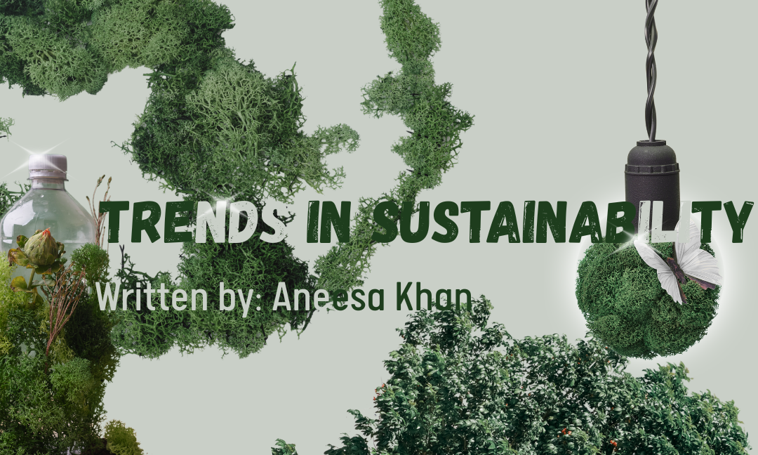 Infographics Corner | 2025 Trends in Sustainability: What Government Systems around the world are doing to target sustainability