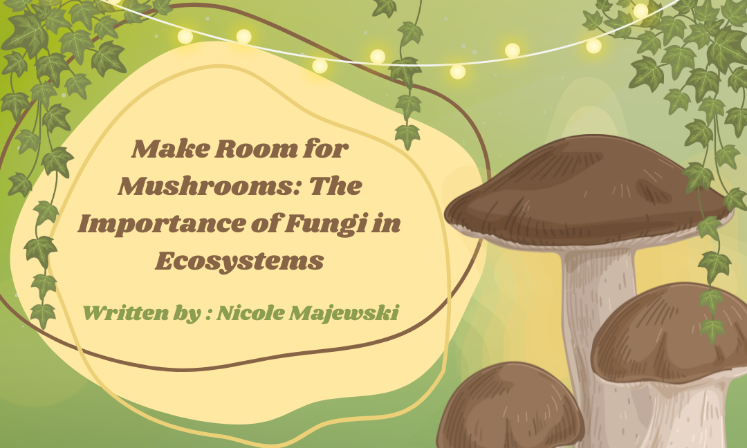 Make Room for Mushrooms: The Importance of Fungi in Ecosystems