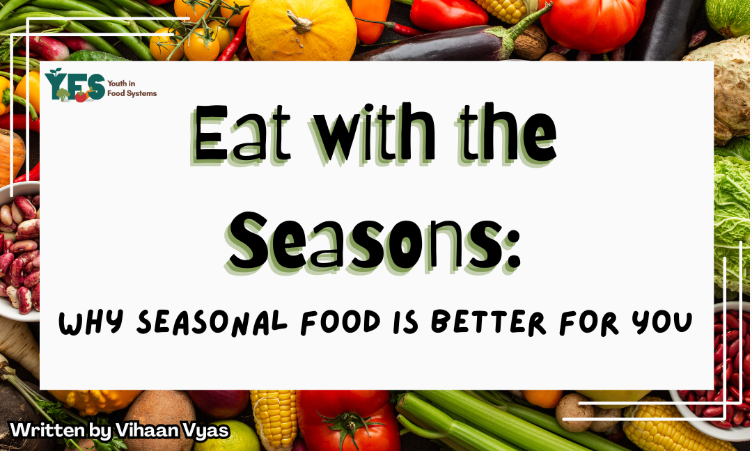 Eat with the Seasons: Why Seasonal Food Is Better for You