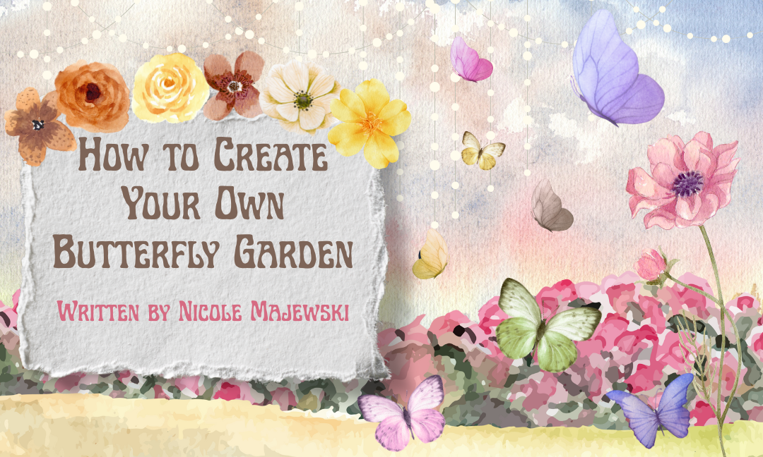 How to Create Your Own Butterfly Garden