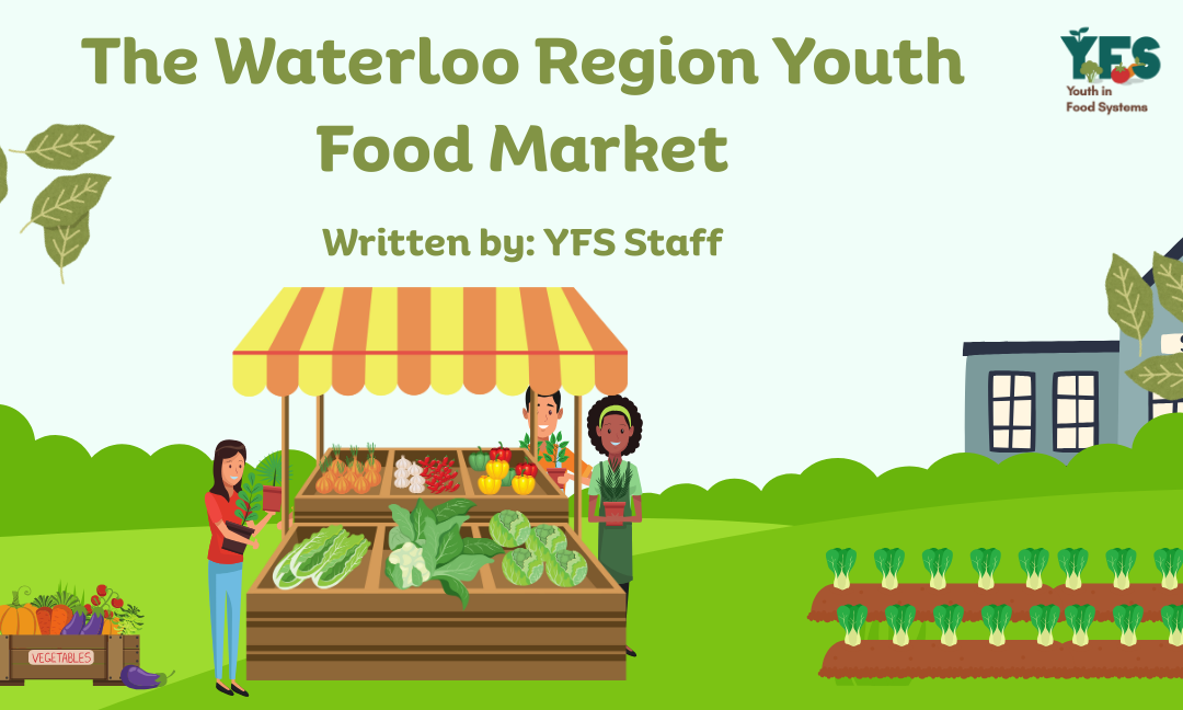 The Waterloo Region Youth Food Market
