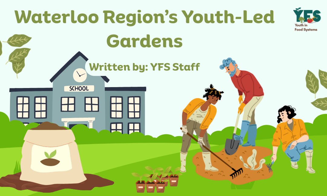 Waterloo Region’s Youth-Led Gardens