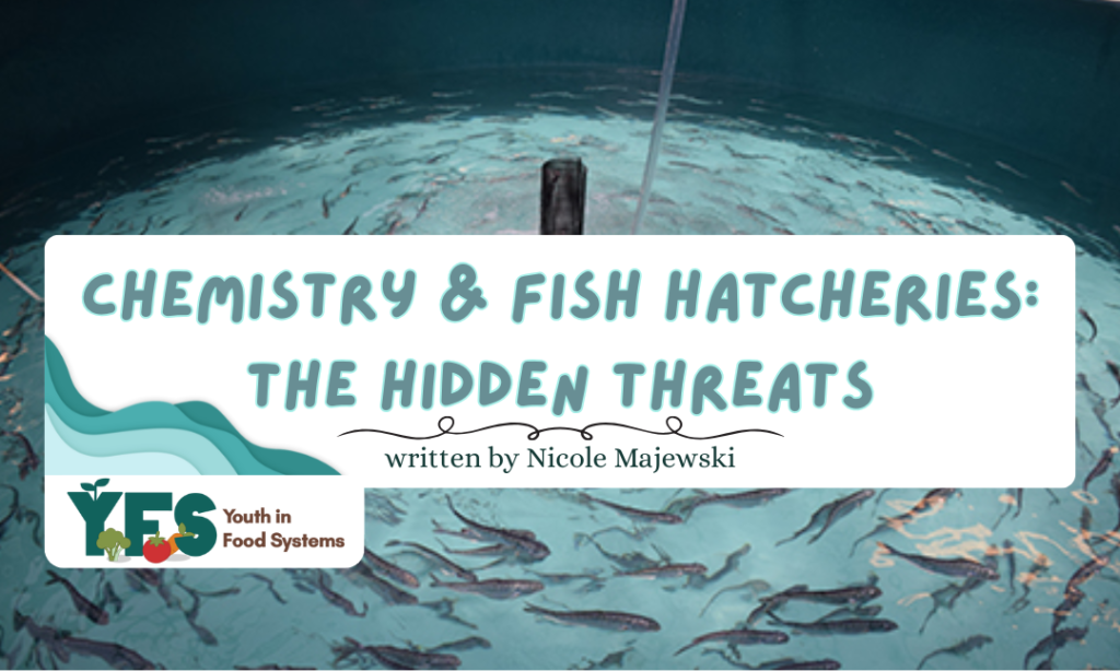 Chemistry & Fish Hatcheries: The Hidden Threats