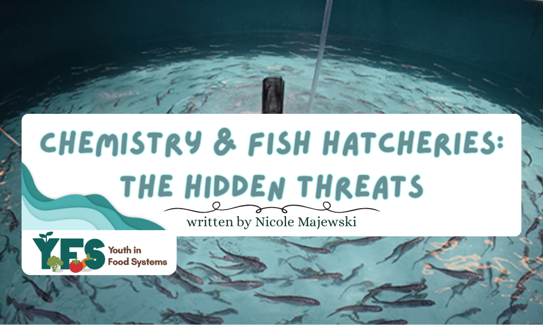 Chemistry & Fish Hatcheries: The Hidden Threats