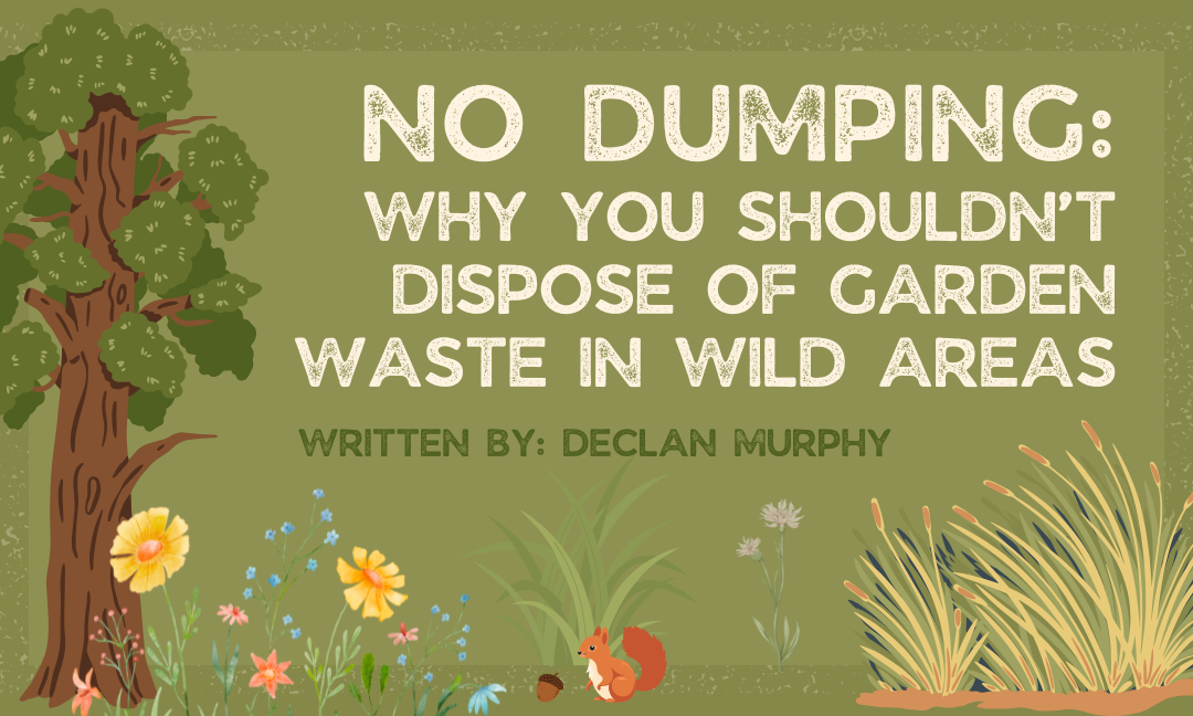 No Dumping! Why You Shouldn’t Dispose of Garden Waste in Wild Areas