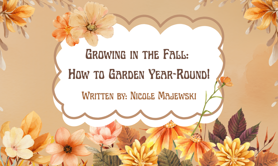 Growing in the Fall: How to Garden Year-Round