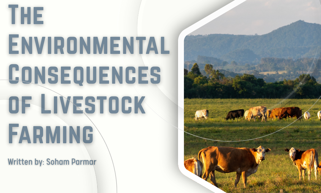 Environmental Consequences of Livestock Farming