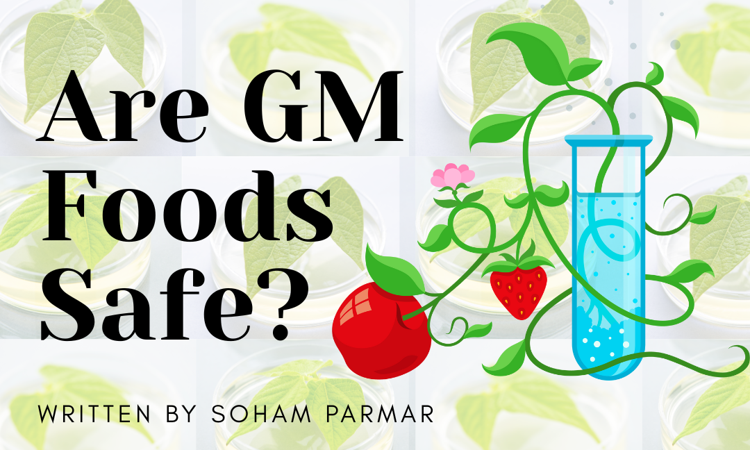 Are GM Foods Safe?