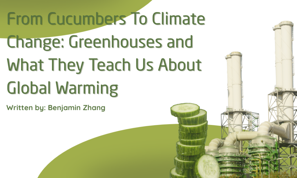 From Cucumbers To Climate Change: Why Greenhouses Are Humid and What They Can Teach Us About Global Warming
