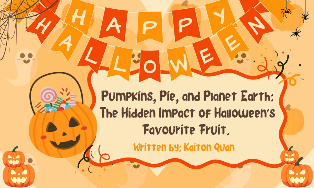 Pumpkins, Pie, and Planet Earth:  The Hidden Impact of Halloween’s Signature Fruit