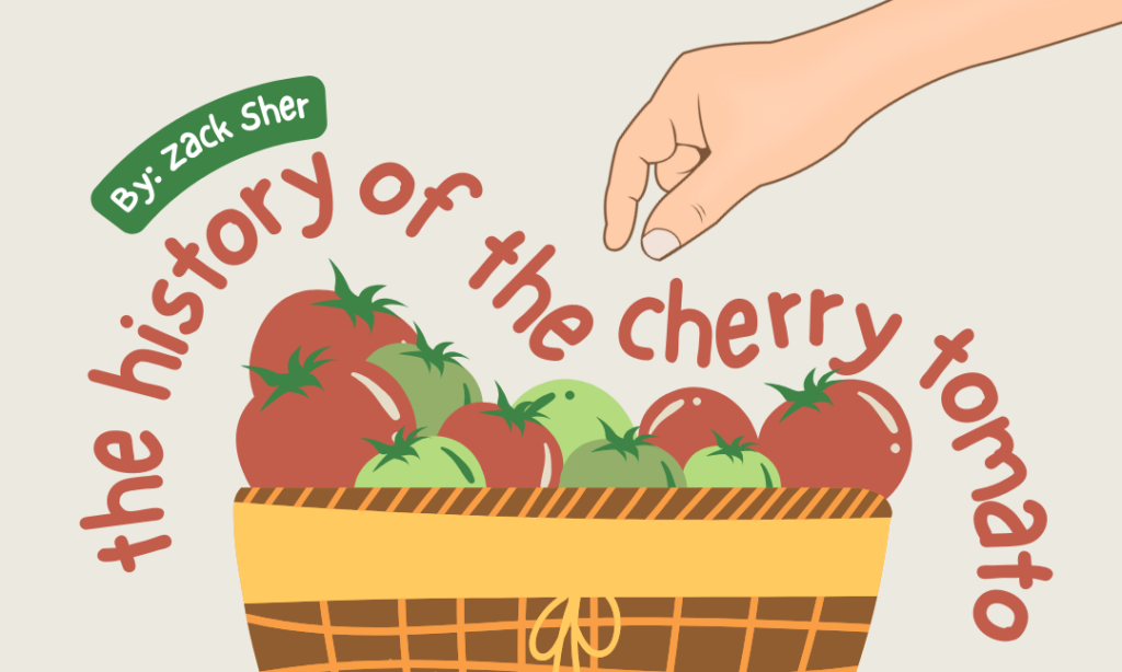 The History of the Cherry Tomato