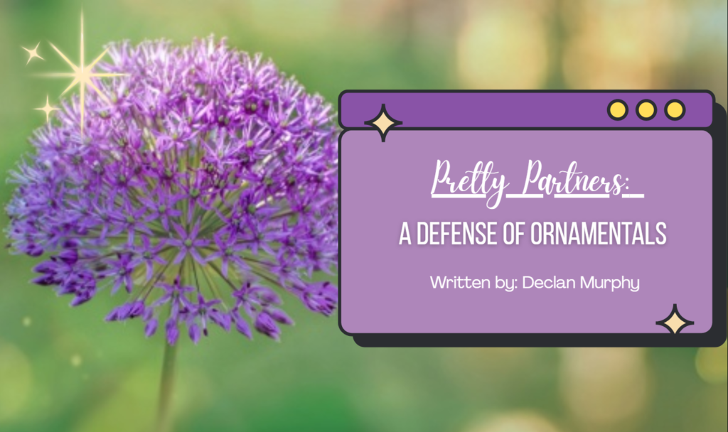 Pretty Partners: A Defense of Ornamentals