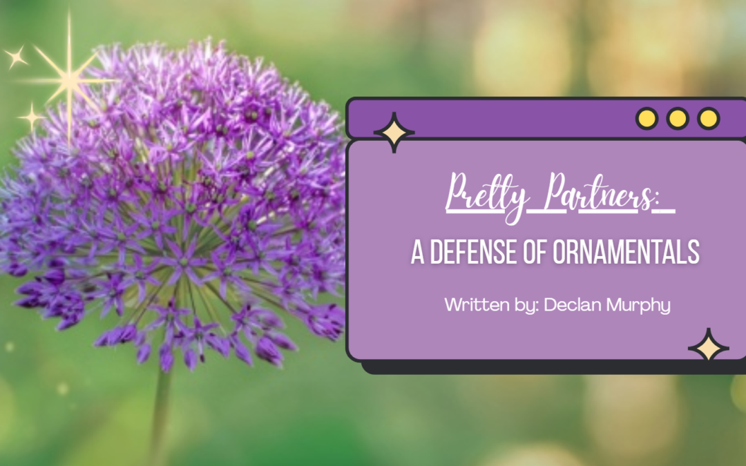 Pretty Partners: A Defense of Ornamentals