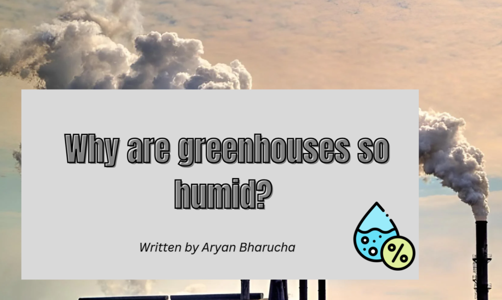 Why Are Greenhouses So Humid?