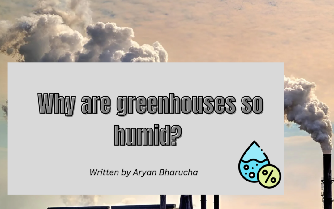 Why Are Greenhouses So Humid?