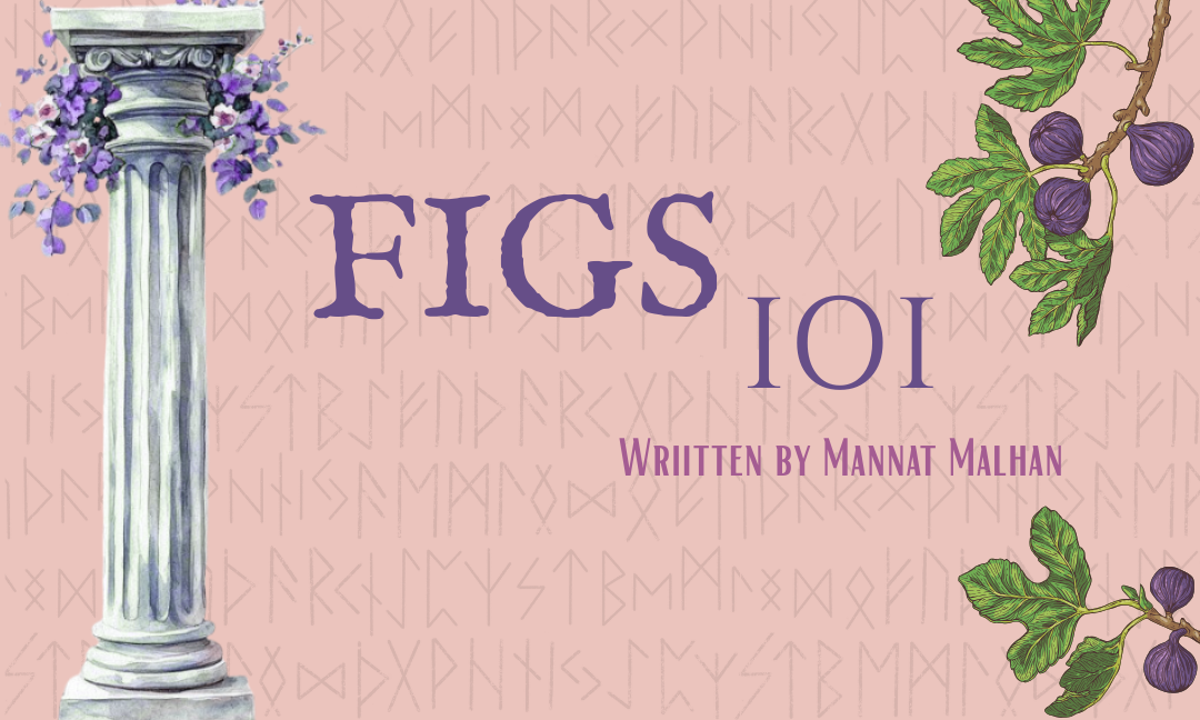 Figs 101: The Fruit That Isn’t Really a Fruit
