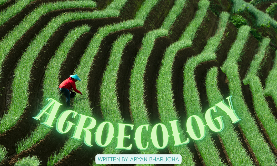 Agroecology