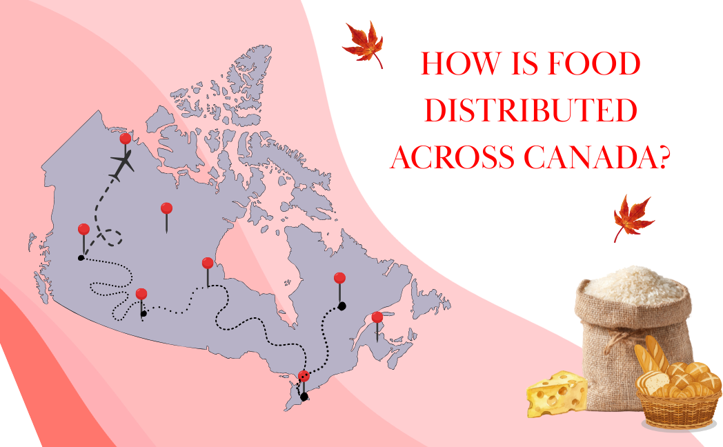 How food is distributed across Canada