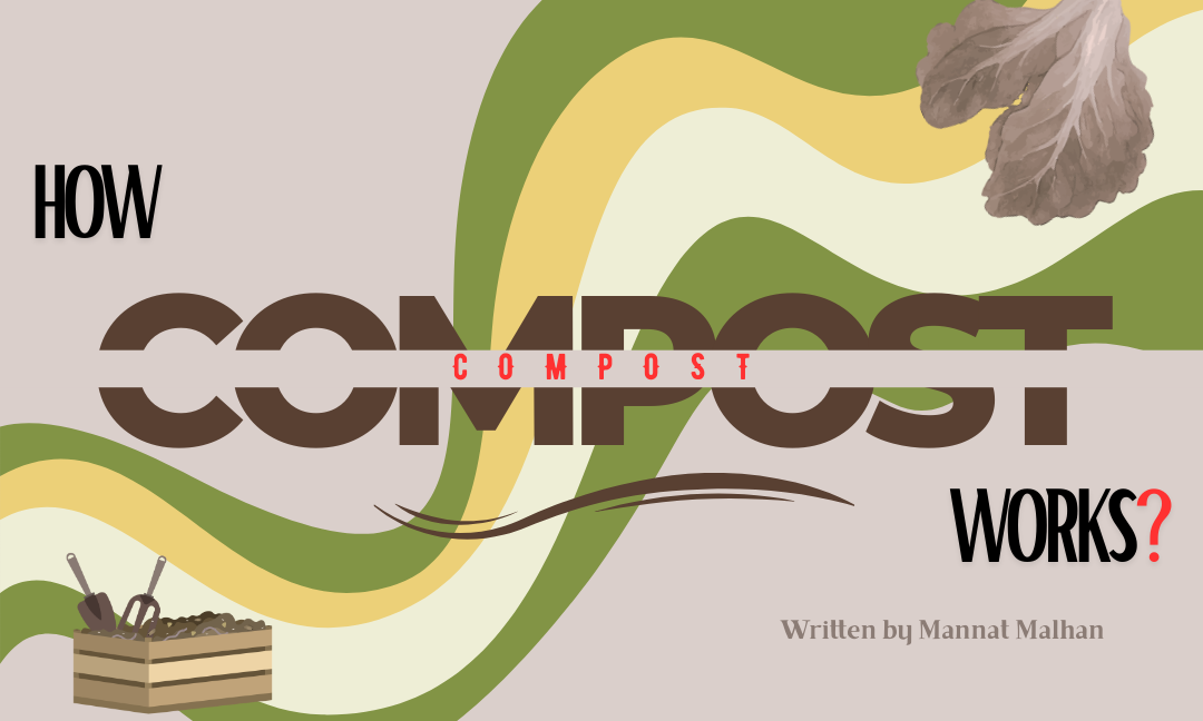 How Does Composting Work?