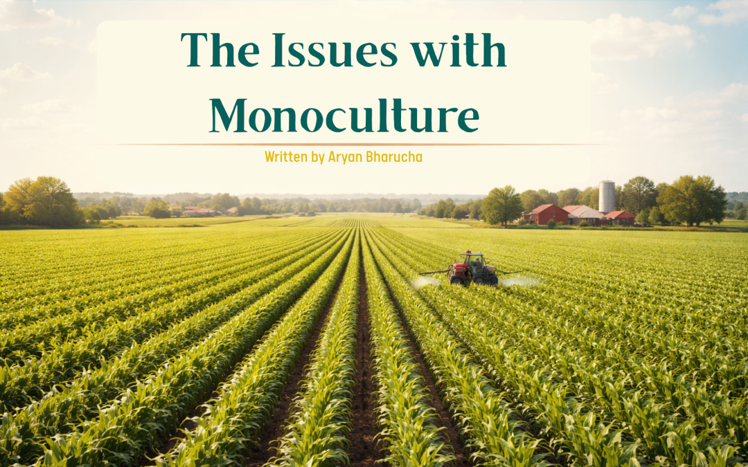 The Issues with Monoculture