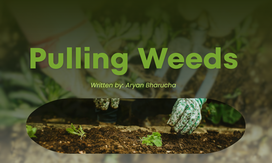 How to Pull Weeds