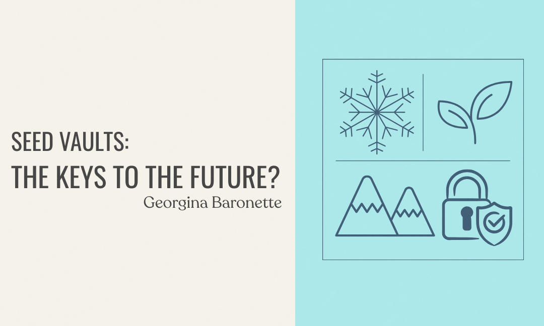 Seed Vaults: The Keys to the Future?