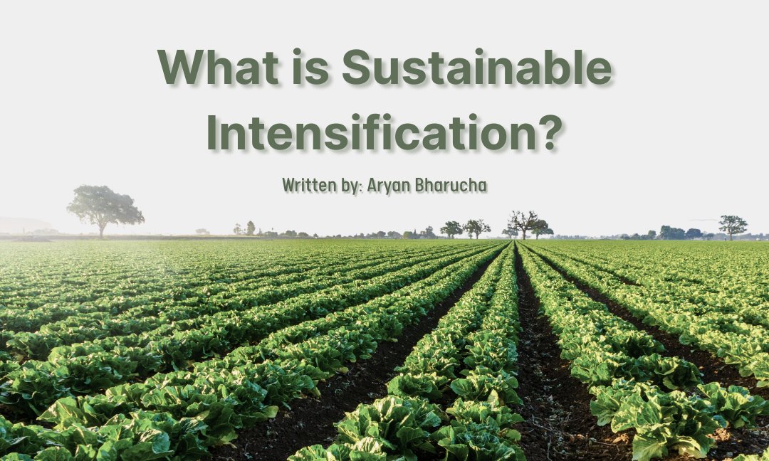 What is Sustainable Intensification?