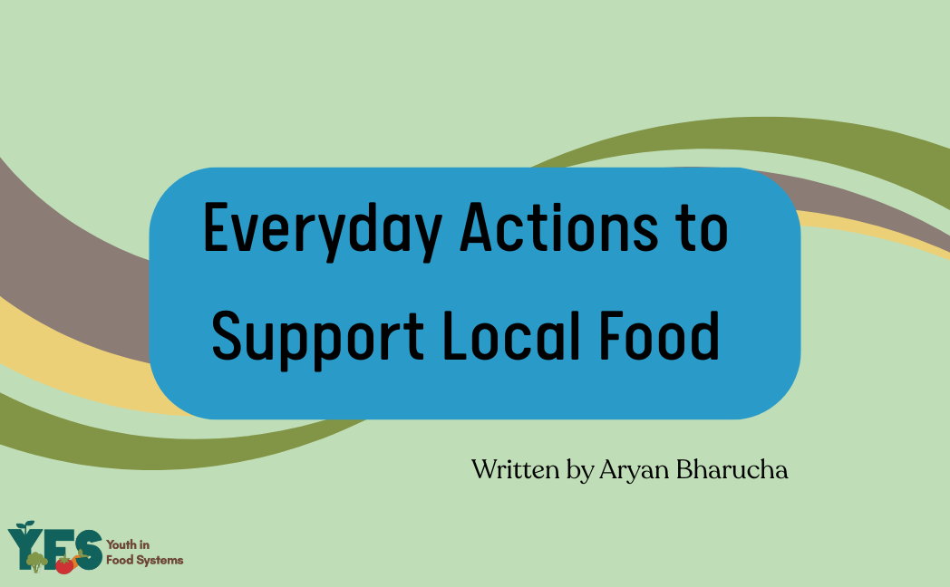 Everyday Actions to Support Local Food